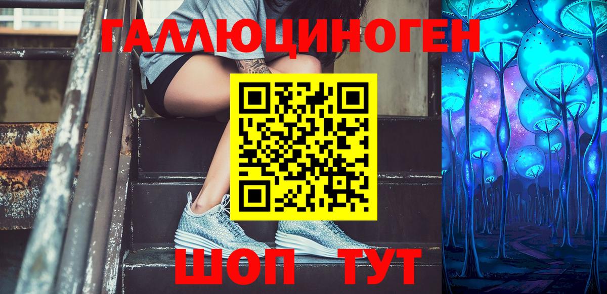 Псилоцибиновые грибы Psilocybine cubensis Стрежевой